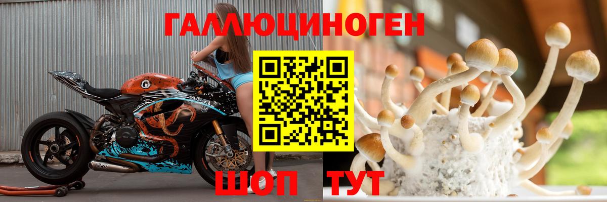 Псилоцибиновые грибы Psilocybine cubensis  Вход с VPN  Тобольск 